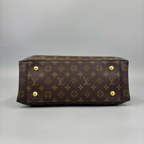 Louis Vuitton Flower Tote Monogram Brown