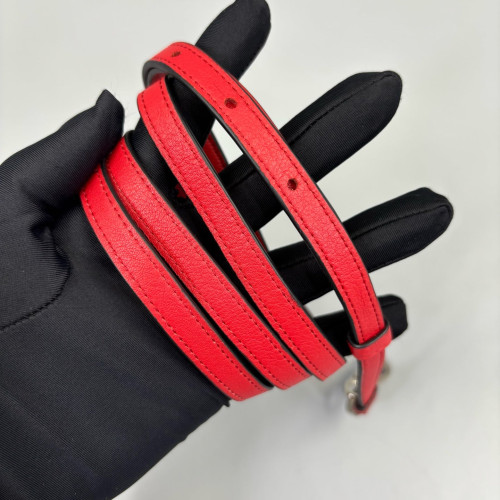 Loewe Elephant Crossbody Bag Calfskin Red