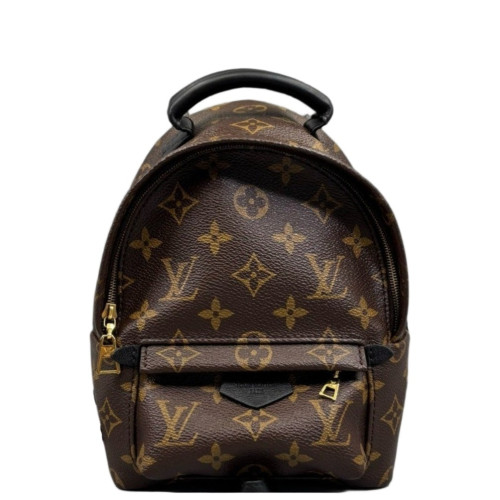 Louis Vuitton Palm Springs Backpack Mini Monogram Brown