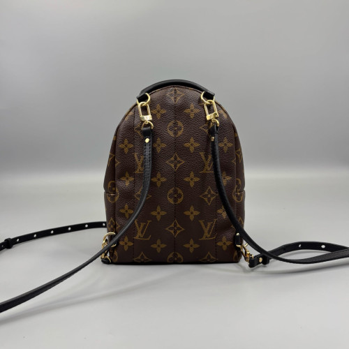 Louis Vuitton Palm Springs Backpack Mini Monogram Brown