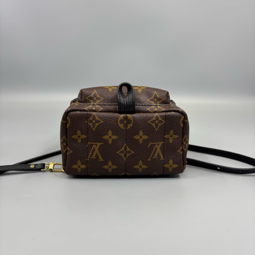 Louis Vuitton Palm Springs Backpack Mini Monogram Brown