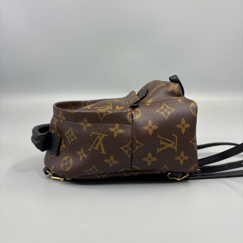 Louis Vuitton Palm Springs Backpack Mini Monogram Brown
