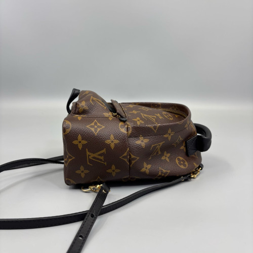 Louis Vuitton Palm Springs Backpack Mini Monogram Brown