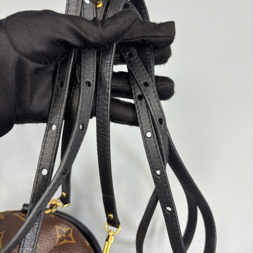 Louis Vuitton Palm Springs Backpack Mini Monogram Brown