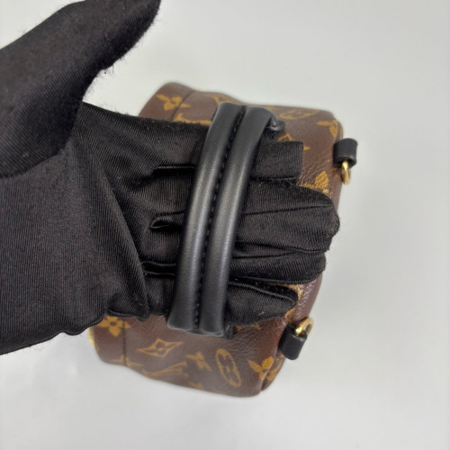 Louis Vuitton Palm Springs Backpack Mini Monogram Brown