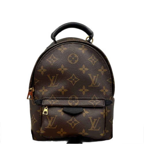 Louis Vuitton Palm Springs Backpack Mini Monogram Brown