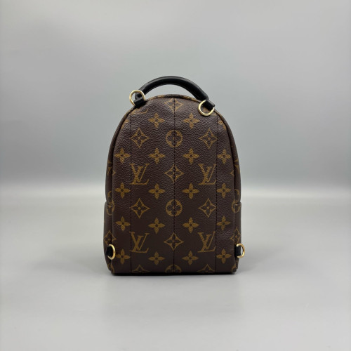 Louis Vuitton Palm Springs Backpack Mini Monogram Brown
