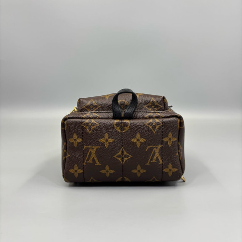 Louis Vuitton Palm Springs Backpack Mini Monogram Brown