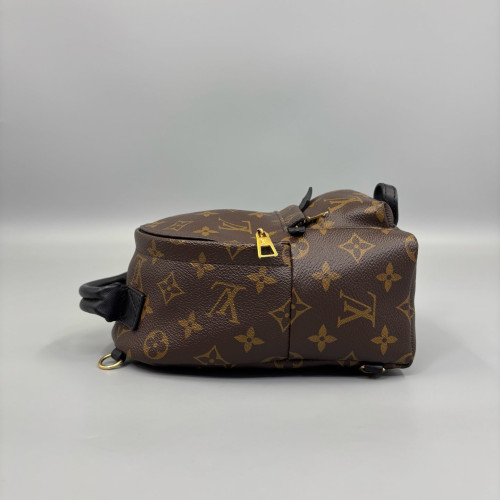 Louis Vuitton Palm Springs Backpack Mini Monogram Brown