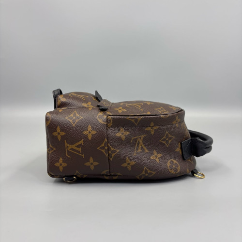 Louis Vuitton Palm Springs Backpack Mini Monogram Brown