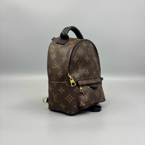 Louis Vuitton Palm Springs Backpack Mini Monogram Brown