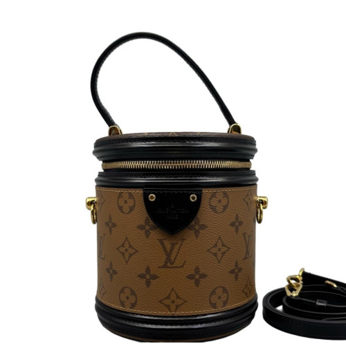 Louis Vuitton Cannes Monogram Brown