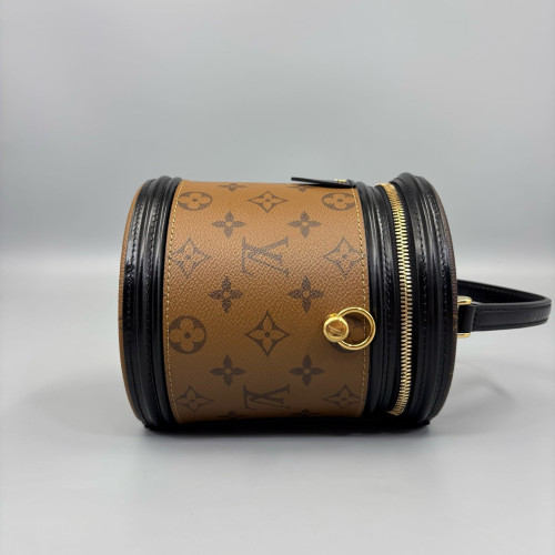 Louis Vuitton Cannes Monogram Brown