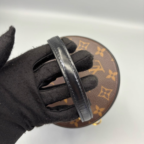 Louis Vuitton Cannes Monogram Brown