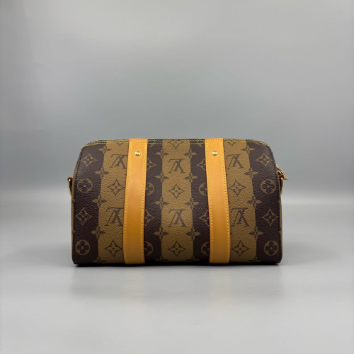 Louis Vuitton City Keepall Monogram Brown