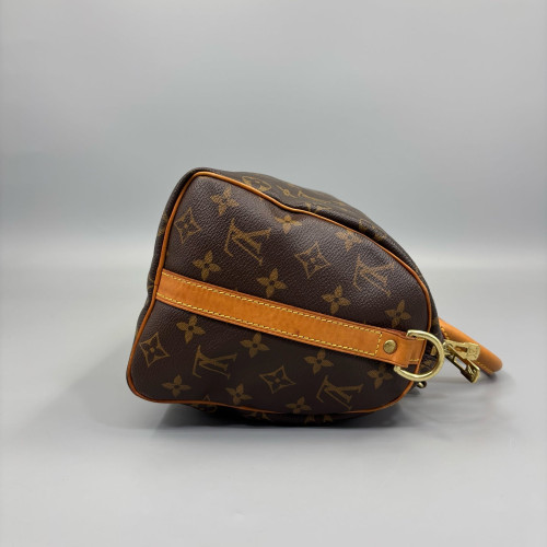 Louis Vuitton Speedy 25 Monogram Brown