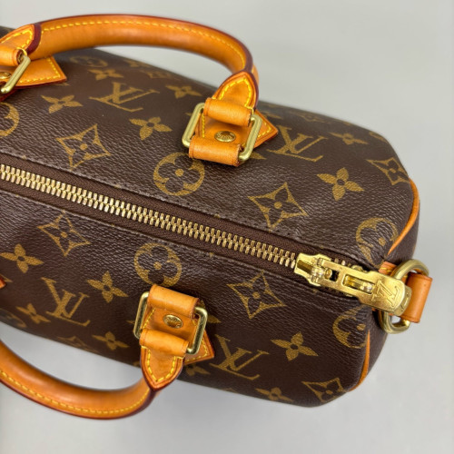 Louis Vuitton Speedy 25 Monogram Brown