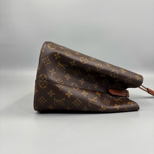 Louis Vuitton Neonoe MM Monogram Brown