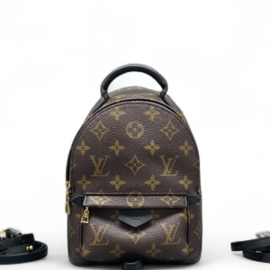 Louis Vuitton Palm Springs Backpack Mini Monogram Brown Black