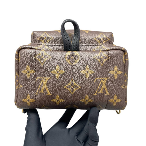 Louis Vuitton Palm Springs Backpack Mini Monogram Brown Black