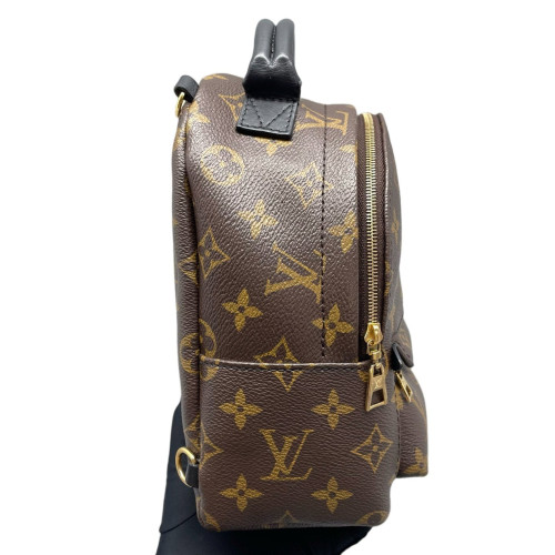 Louis Vuitton Palm Springs Backpack Mini Monogram Brown Black