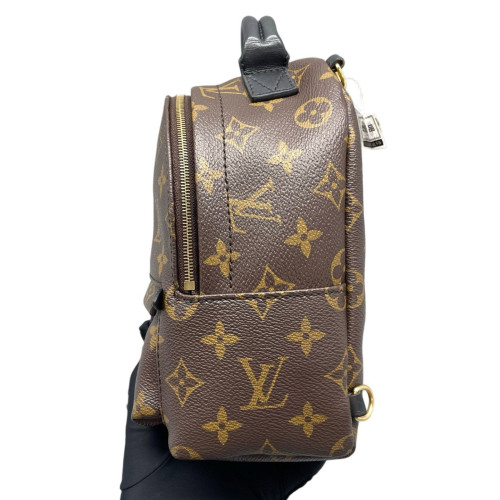 Louis Vuitton Palm Springs Backpack Mini Monogram Brown Black