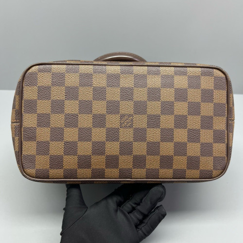 Louis Vuitton Saleya PM Damier Ebene Brown