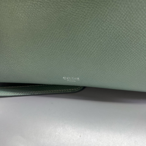 Celine Micro Belt Bag Grained Calfskin Light Green