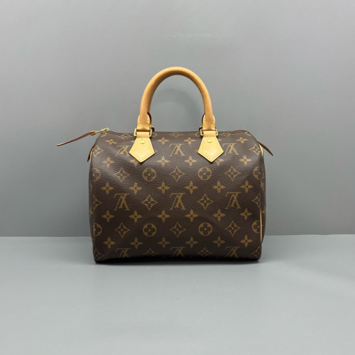 Louis Vuitton Speedy 25 Monogram Brown