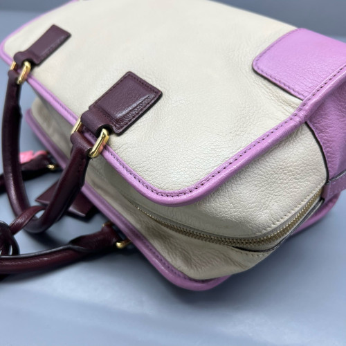 Loewe Amazona 29 Grained Calfskin Beige Pale Orchid Burgundy