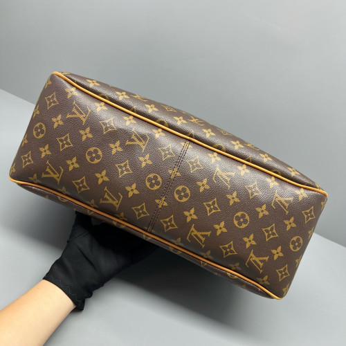 Louis Vuitton Delightful MM Monogram Brown