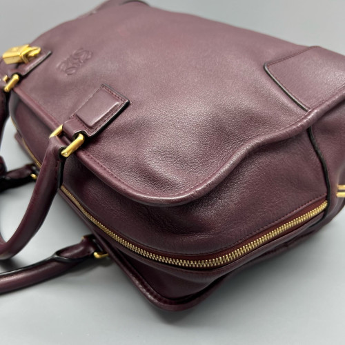 Loewe Amazona 36 Calfskin Burgundy