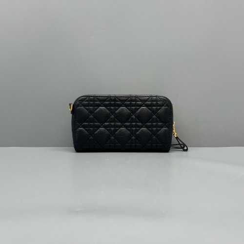 Dior Camera Case Calfskin Black