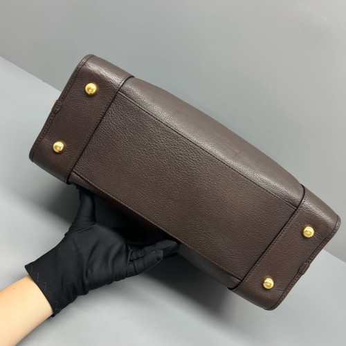 Loewe Amazona 36 Calfskin Dark Brown