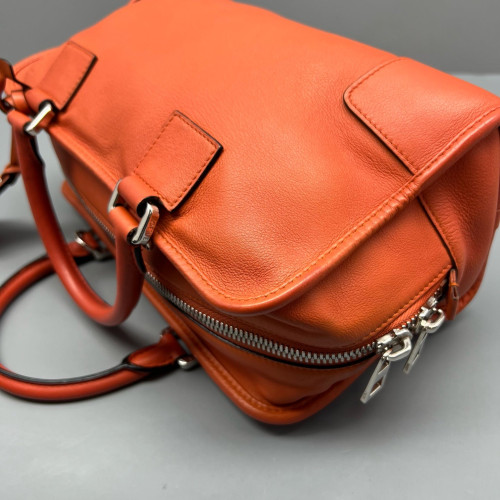 Loewe Amazona 29 Calfskin Orange