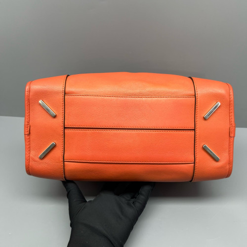 Loewe Amazona 29 Calfskin Orange