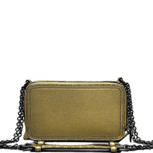 Bottega Veneta Camera Case Grained Calfskin Lambskin Intrecciato Nappa Gold