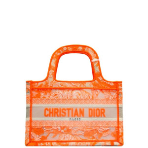 Dior Mini Book Tote Canvas Orange Grey