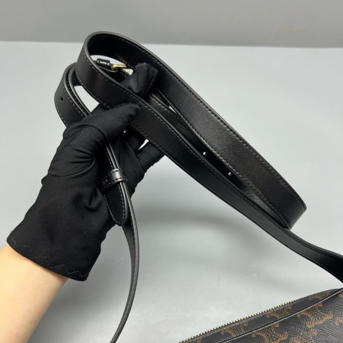 Celine Camera Case Triomphe Brown Black