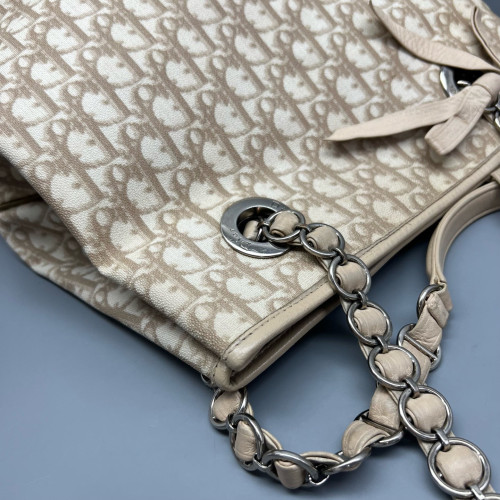 Dior Tote Bag Trotter Beige Brown