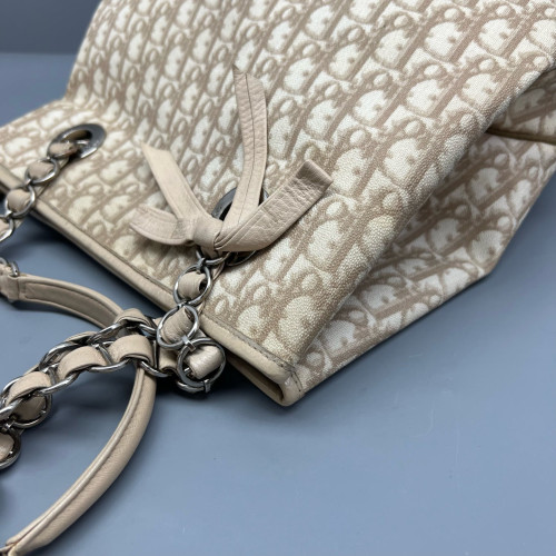 Dior Tote Bag Trotter Beige Brown