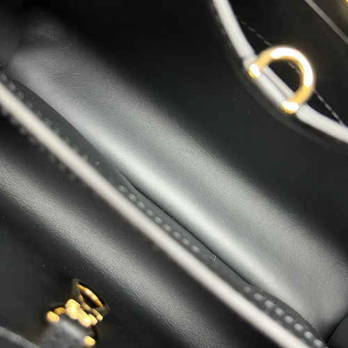 Louis Vuitton Embroidered Capucines PM Calfskin Black White