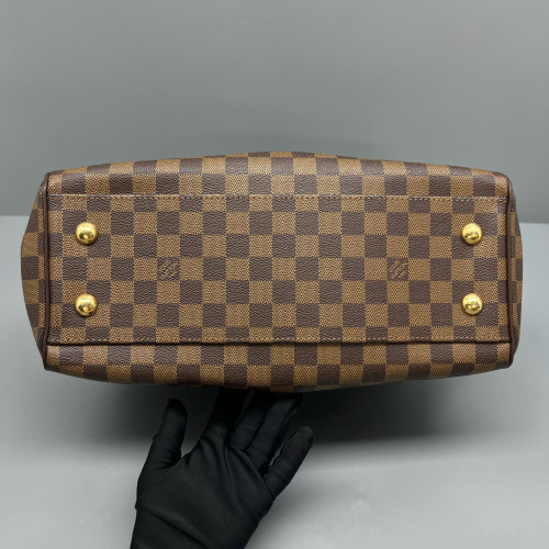 Louis Vuitton Trevi PM Damier Ebene Brown