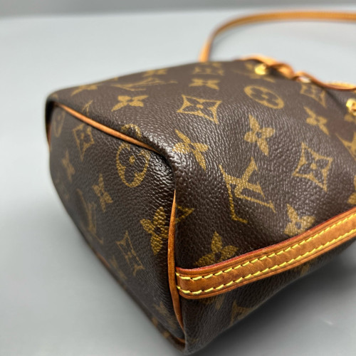 Louis Vuitton Nano Noe Monogram Dark Brown Light Brown