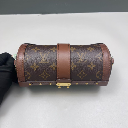 Louis Vuitton Papillon Trunk Monogram Brown