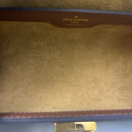 Louis Vuitton Papillon Trunk Monogram Brown