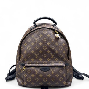 Louis Vuitton Palm Springs Backpack MM Monogram Brown