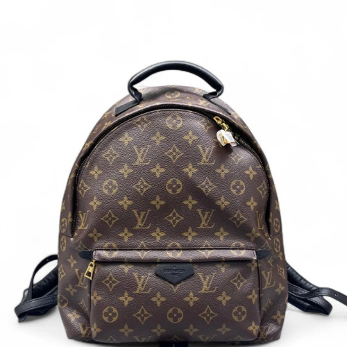 Louis Vuitton Palm Springs Backpack MM Monogram Brown