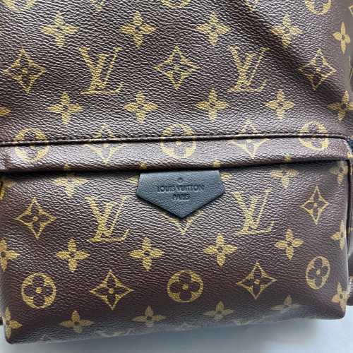 Louis Vuitton Palm Springs Backpack MM Monogram Brown