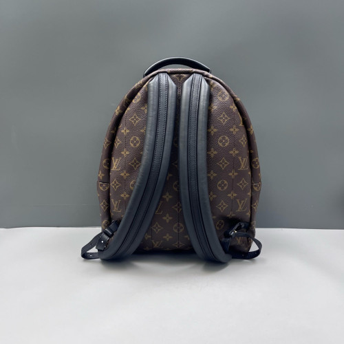 Louis Vuitton Palm Springs Backpack MM Monogram Brown